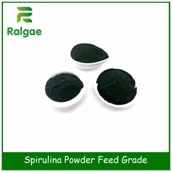 Animal Nutrition Supplement Feed Grade Microalgae Spirulina CAS 724424